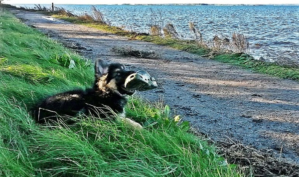 an der Ostsee Beute machen ist toll